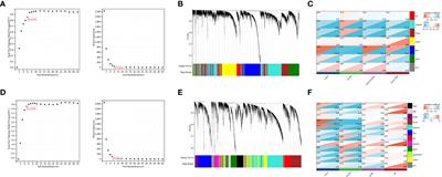 Construction of lncRNA and mRNA co-expression network associated with nasopharyngeal carcinoma progression